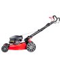 Газонокосилка бензиновая самоходная с двигателем FUBAG Honda FPL 56 SMH в Южно-Сахалинске фото