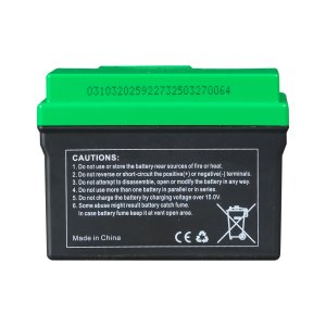 Аккумулятор FUBAG li-ion 3Ah для инверторного генератора TI 11000 A ES (арт. 646211) купить в Южно-Сахалинске