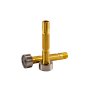 FUBAG Цанга c газовой линзой ф3.2 FB TIG 240-550W (2 шт.) в Южно-Сахалинске фото
